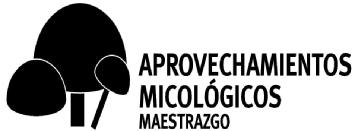 Imagen de APROVECHAMIENTOS MICOLOGICOS MAESTRAZGO