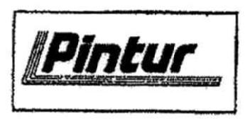 Imagen de PINTUR