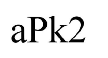 Imagen de APK2