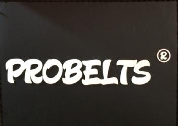 Imagen de PROBELTS