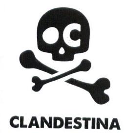 Imagen de CLANDESTINA