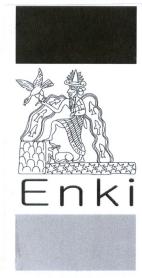 Imagen de ENKI
