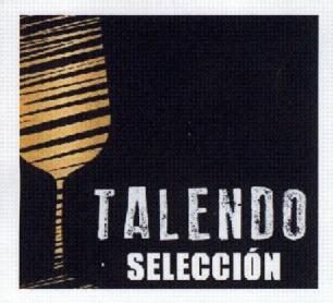 Imagen de TALENDO SELECCION