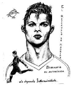 Imagen de EL REYEZUELO DE MADEIRA BIOGRAFIA NO AUTORIZADA LA LEYENDA INTERMINABLE
