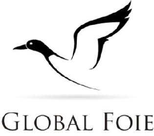 Imagen de GLOBAL FOIE