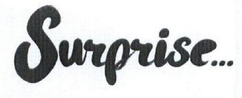 Imagen de SURPRISE..