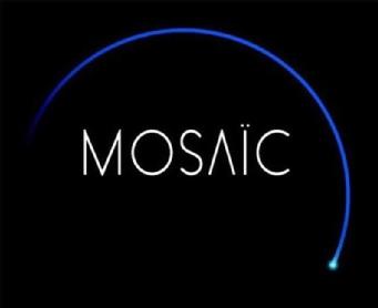 Imagen de MOSAIC
