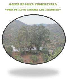 Imagen de ACEITE DE OLIVA VIRGEN EXTRA 