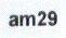 Imagen de AM29