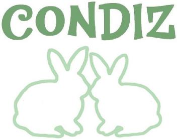 Imagen de CONDIZ