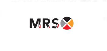 Imagen de MRS