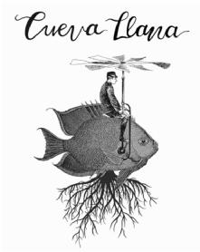 Imagen de CUEVA LLANA
