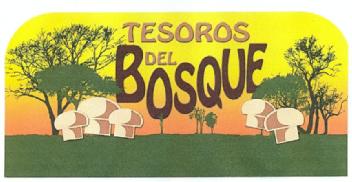Imagen de TESOROS DEL BOSQUE