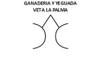 Imagen de GANADERIA Y YEGUADA VETA LA PALMA