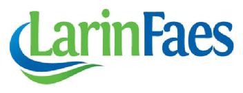 Imagen de LARINFAES