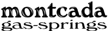 Imagen de MONTCADA GAS-SPRINGS