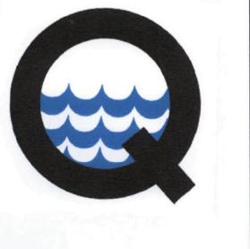 Imagen de Q