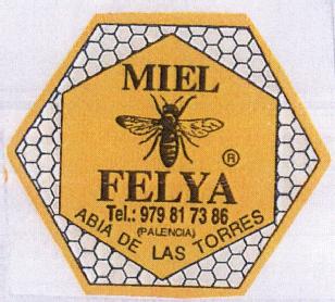 Imagen de MIEL FELYA ABIA DE LAS TORRES
