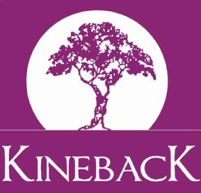 Imagen de KINEBACK