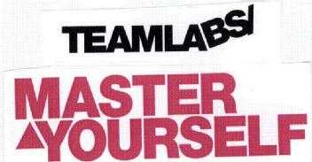 Imagen de TEAMLABS MASTER YOURSELF