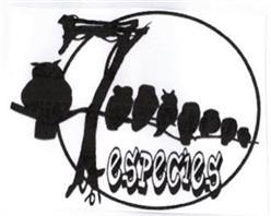 Imagen de 7 ESPECIES