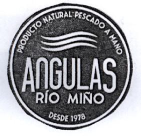 Imagen de PRODUCTO NATURAL PESCADO A MANO ANGULAS RIO MIÑO DESDE 1978
