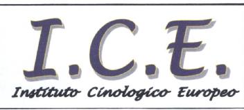 Imagen de I.C.E. INSTITUTO CINOLOGICO EUROPEO