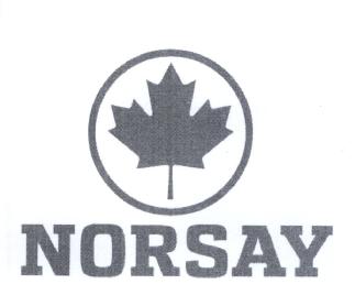 Imagen de NORSAY
