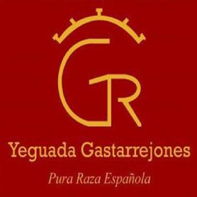 Imagen de YEGUADA GASTARREJONES