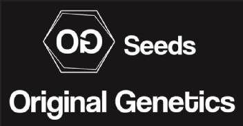 Imagen de OG SEEDS ORIGINAL GENETICS
