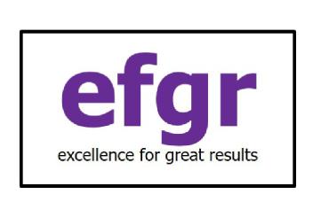 Imagen de EFGR EXCELLENCE FOR GREAT RESULTS