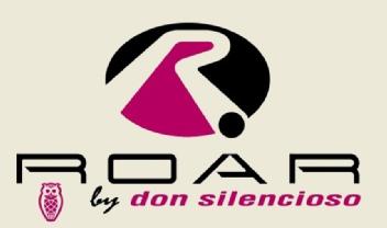 Imagen de R ROAR BY DON SILENCIOSO