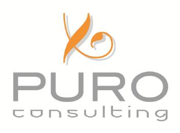 Imagen de PURO CONSULTING