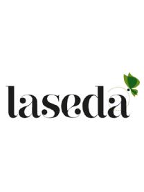 Imagen de LASEDA