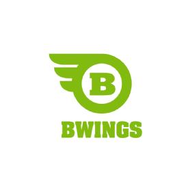 Imagen de BBWINGS