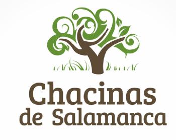 Imagen de CHACINAS DE SALAMANCA