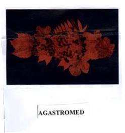 Imagen de AGASTROMED