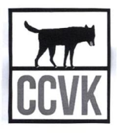 Imagen de CCVK
