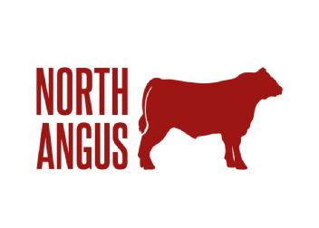 Imagen de NORTH ANGUS
