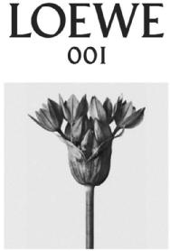 Imagen de LOEWE 001