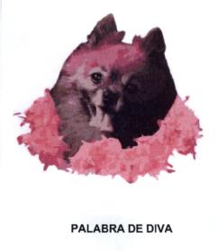 Imagen de PALABRA DE DIVA