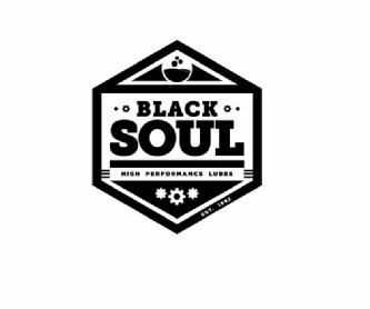Imagen de BLACK SOUL HIGH PERFORMANCE LUBES EST. 1992