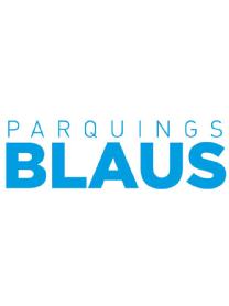 Imagen de PARQUINGS BLAUS
