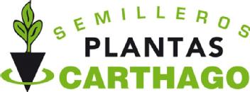 Imagen de SEMILLEROS PLANTAS CARTHAGO