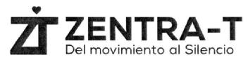 Imagen de ZT ZENTRA-T DEL MOVIMIENTO AL SILENCIO