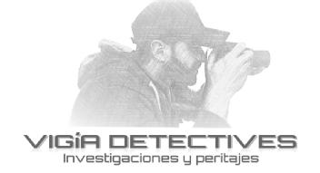 Imagen de VIGIA DETECTIVES