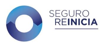 Imagen de SEGURO REINICIA