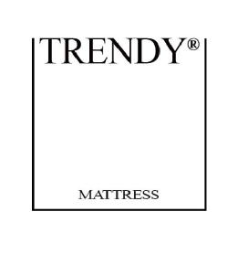 Imagen de TRENDY MATTRESS