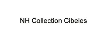 Imagen de NH COLLECTION CIBELES