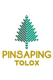 Imagen de PINSAPING TOLOX